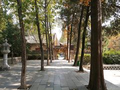 -兴教寺