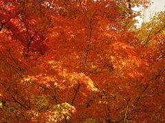 -上海交通大学(闵行校区)