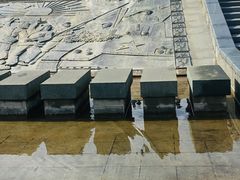 -吴淞炮台湾湿地森林公园烧烤区