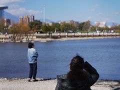 -洱海月湿地公园