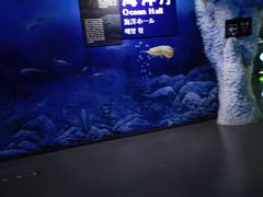 -中国西峡恐龙遗迹园