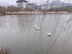 -浙江农林大学(东湖校区)