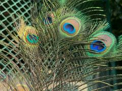 -南京金牛湖风景区