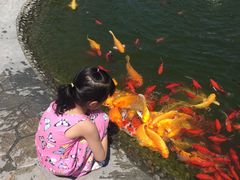 -成飞公园