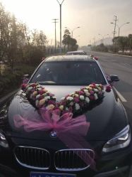 -蚂蚁婚车