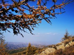 -苏木山森林公园