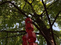 -成都市活水公园