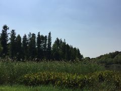 -新江湾城公园