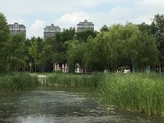 -群力丁香公园