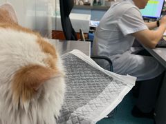 -北京赛佳动物医院