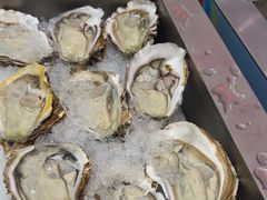 -皮记海鲜1995(寮步店)