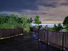 -宝安西湾红树林湿地公园