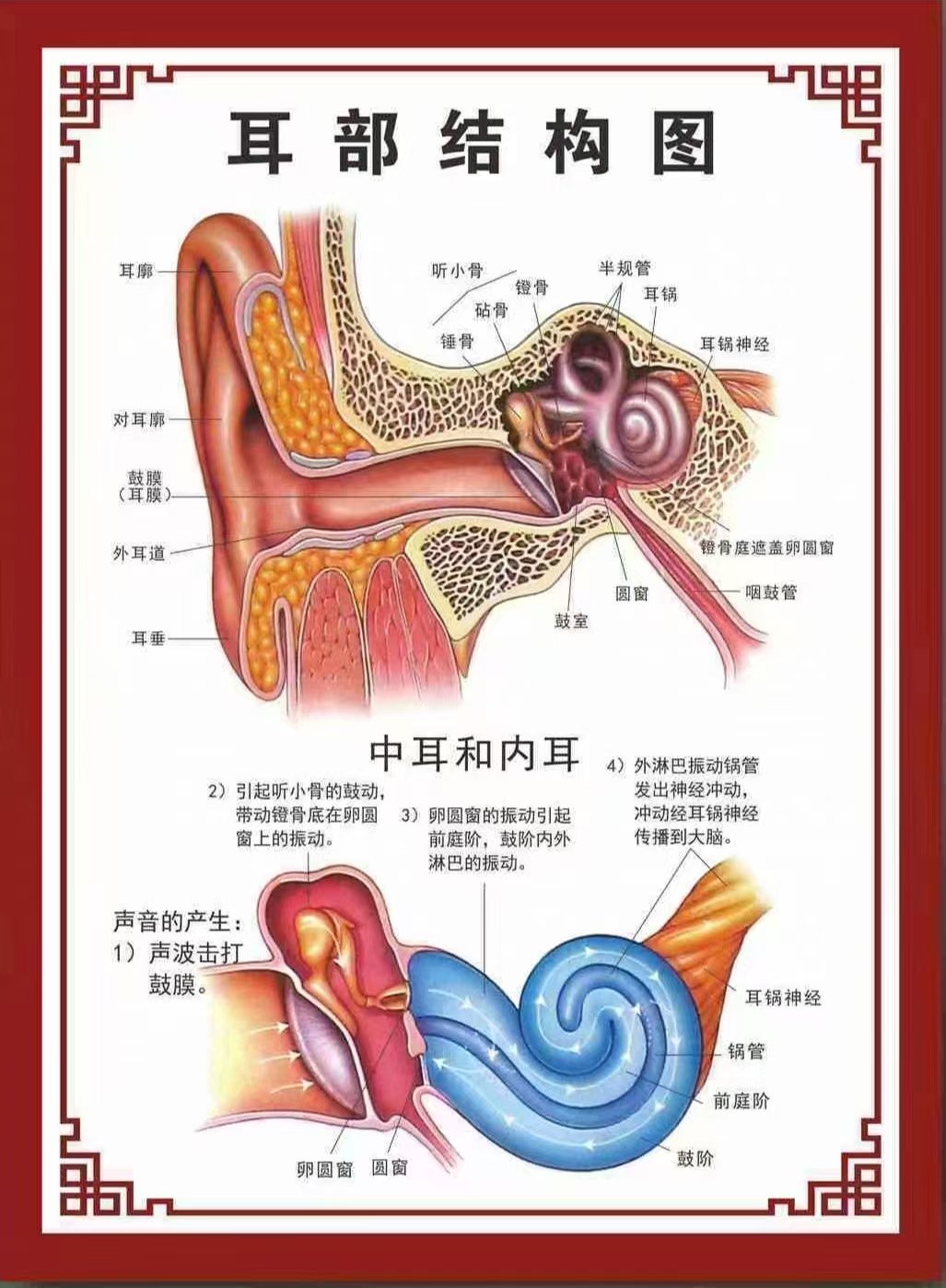 耳聪目明的明图片