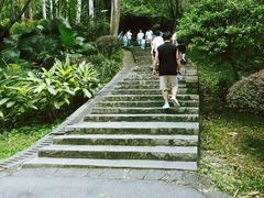 -火炉山森林公园