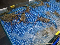 -阿浪海鲜连锁加工店(B栋2排1号火车头店)