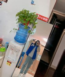 -阿玛仕