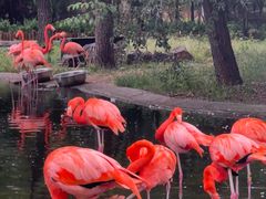 -石家庄市动物园