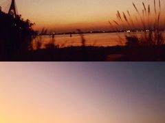 -芒洲湿地公园