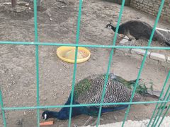 -嬉乐湾休闲旅游区