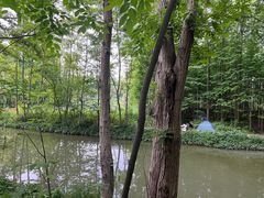 -桤木河湿地公园