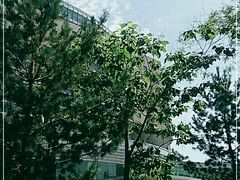 -银川国贸中心酒店