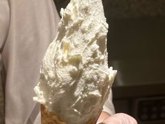 -野人先生Gelato(上海长宁龙之梦店)