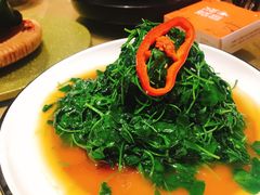 酒香金花菜-吴越荣记苏州菜·松鼠桂鱼100%活鱼现做(斜塘老街店)