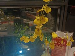 -颂福楼·南京菜(定淮门店)