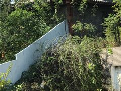 -杏花村文化旅游区