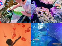 -沈阳海洋探索中心