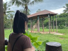 -海南热带野生动植物园