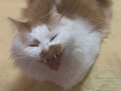 -百年义利(甜水园东里店)