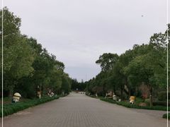 -上海海湾国家森林公园