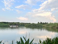 -沙家浜风景区