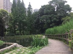 -成都市活水公园