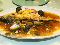酒蒸鲥鱼-老吉士(环贸iapm店)
