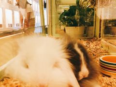 -龙猫仔乐园(惠福东路店)