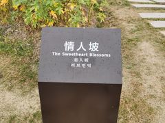 -径山花海
