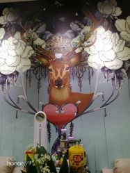 -甲舍美甲美睫艺术馆