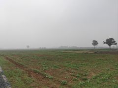 -汉长安城未央宫国家考古遗址公园