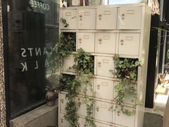 -北马山庄植趣咖啡