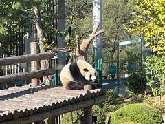 -大连森林动物园