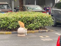 -上海大学(嘉定校区)