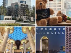 -宁波东港喜来登酒店
