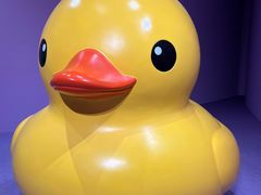 -上海宝龙美术馆