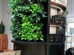 -Peet's Coffee皮爷咖啡(德基店)