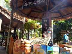 -海南槟榔谷黎苗文化旅游区