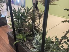 -THE WOODS 简餐 (国贸商城店)
