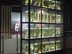 -广东中医药博物馆