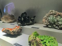 -河南自然博物馆